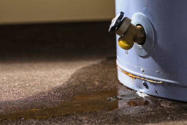 Best Water damage restoration services  in Dania Beach, FL
