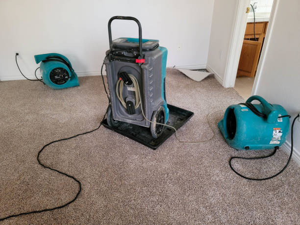 Best 24-hour water damage restoration  in Dania Beach, FL
