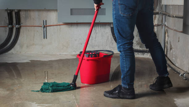 Best Professional water damage repair  in Dania Beach, FL