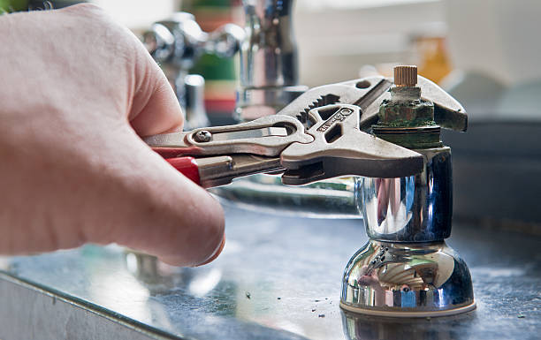 Best Mold removal after water damage  in Dania Beach, FL