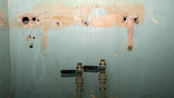 Best Carpet water damage restoration  in Dania Beach, FL