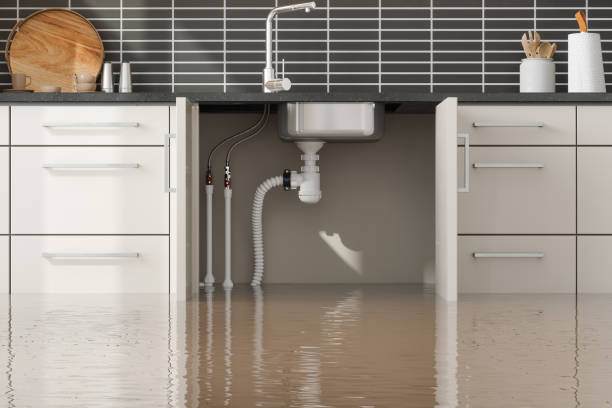 Best Commercial water damage restoration  in Dania Beach, FL
