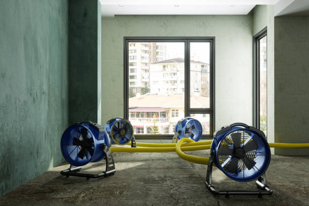 Best Emergency water damage restoration  in Dania Beach, FL